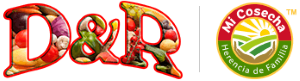 D & R Quality Vegetables logo